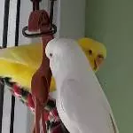 Zufrieden 