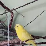 Ob das so passt ?