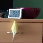Was schon so spät!!!