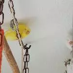 Guck mal nach unten