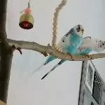 Neugierig? Ich?
