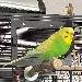 Berta