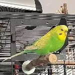 Ich bin Berta