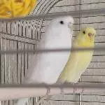Hallo wir sind die Neuen