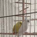 Wir sind noch neu hier