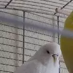 Wir schon wieder