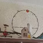 Einzug ins neue Heim