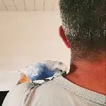 Kuschelzeit mit dem Vogelpapa