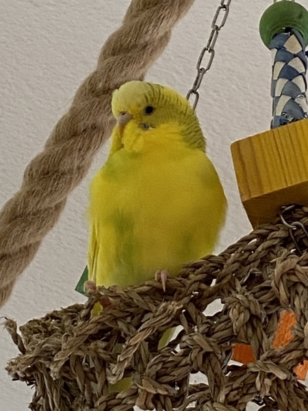 Molli hat gern den Überblick