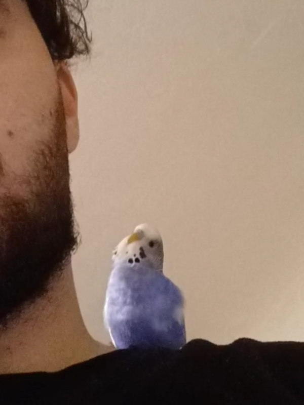 PHPSESSID