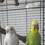 Luna & Lenny :-)