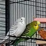 Luna & Lenny 