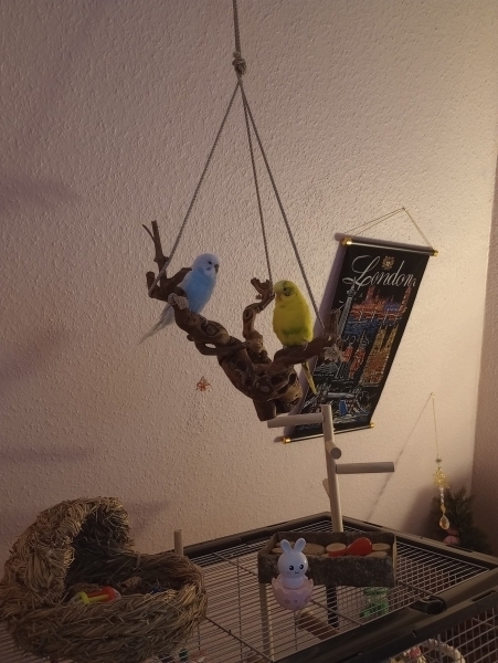 Gemütlich hier oben