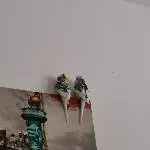 2 Spinner 