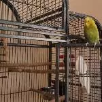 Paco & Coco <3