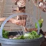 Salat im Regen