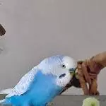 Zum Abflug bereit