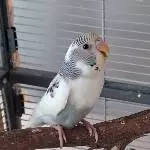 Hurra, da bin ich