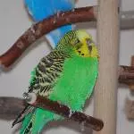 Boah, wie langweilig heute
