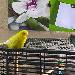 Sunny und Wilma