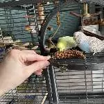 Liselotte ist mutig