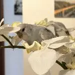 Versteckspiel mit Maxi