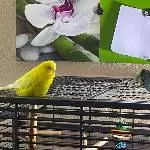 Wilma unser Neuzugang