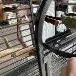 Genießer Pieps