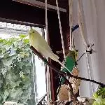 Lilly und Fiete
