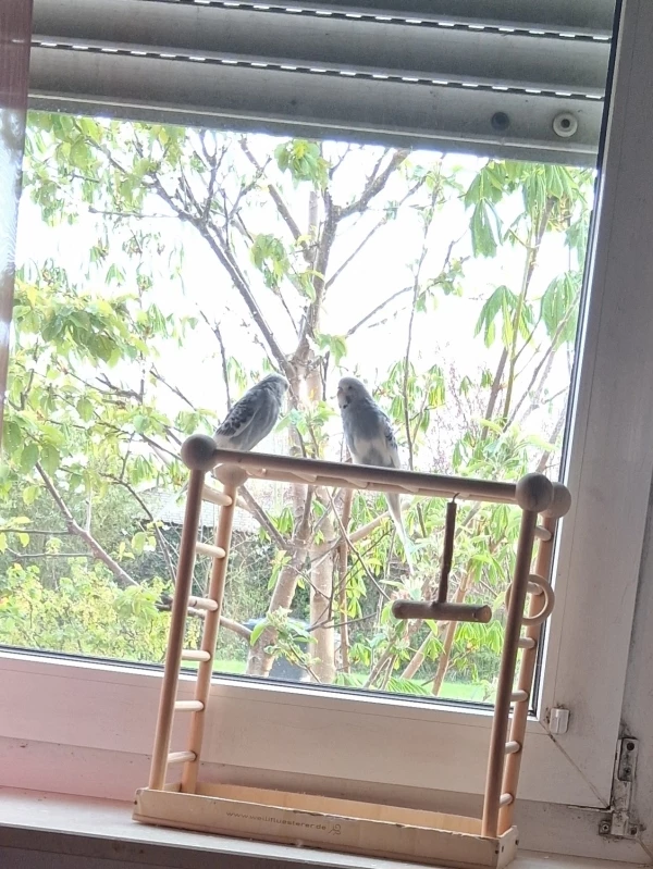 Ein super Platz 