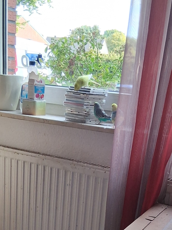 Wir sind am Arbeiten