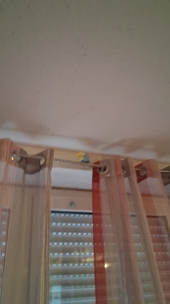 Homer is watching you