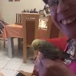Leckerli bei Mama 