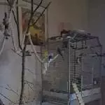 Gute Nacht Flauschbällchens 