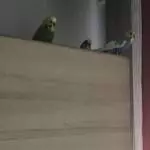 Warten, bis wir wieder ins Haus dürfen 