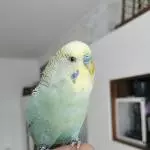 Mein Lieblingsbild von Yuki