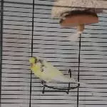 Ist das wirklich gemütlich? 