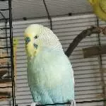 Yuki, 8 Jahre