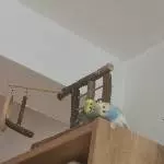 Zusammen gekuschelt auf dem Regal