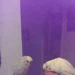Yuki und Paul