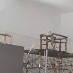Der gemeinsame Freiflug