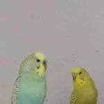 Bella und Yuki