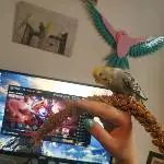 Unterstützung beim Videospiele spielen 