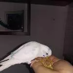 Paul beim Abendessen