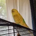 Sunny - 1 Foto
