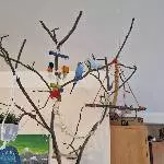 Welli-Ast im Wohnzimmer