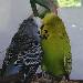 In inniger ewiger Liebe 