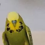 Schön warm ist es wieder!