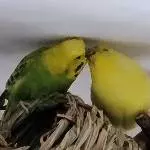 Liebe ist sooo schön!