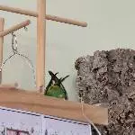 Hallöchen Flausch Popöchen